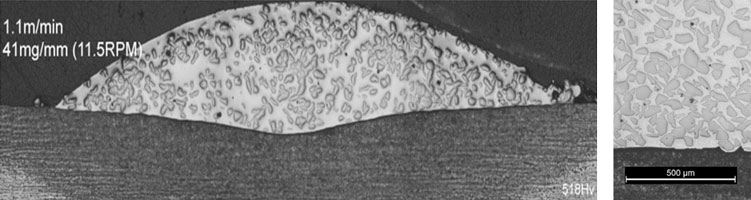 Two grayscale micrographs showing a curved, speckled white structure atop a dark base, with scale bars in the corners.