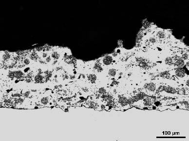 High-contrast micrograph of a porous, irregular white structure with numerous dark pores and a 100 µm scale bar.
