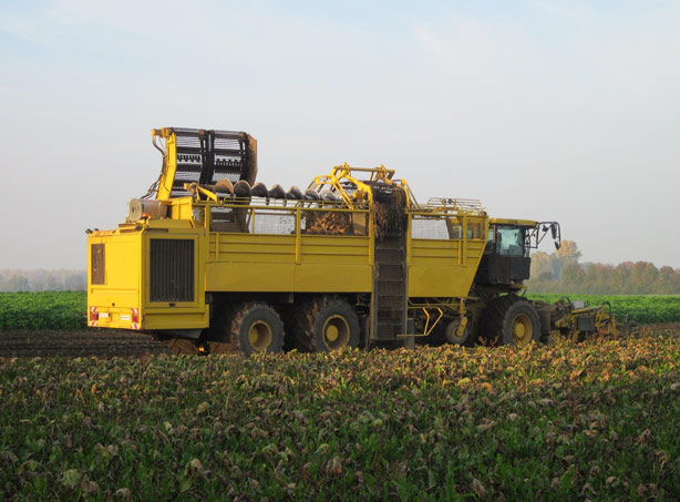 A large yellow self-propelled combine harvester in a field.