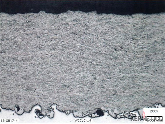 Grayscale micrograph showing a uniform textured gray area above a jagged, serrated lower edge, with a small scale bar in the bottom-right corner.
